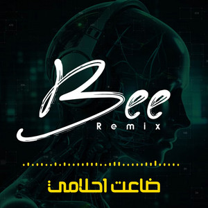 ضاعت احلامي (ريمكس) by Bee Remix