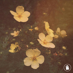Take me home by Ahntow, Jonny Abbey