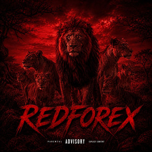 ANIMO by Redforex
