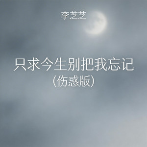 只求今生别把我忘记（伤感版） by 李芝芝