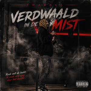 Verdwaald in de mist by Twarkka