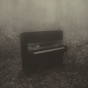 Junior dos Santos Silva - Moonlight Sonata (1st Movement)