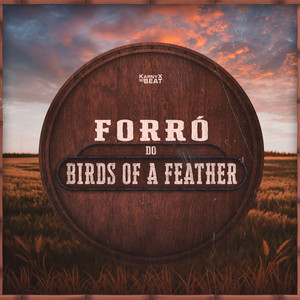 KarnyX no Beat - Forró do Birds Of A Feather