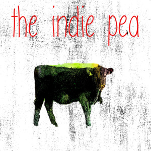 Keep Holding On by The Indie Pea