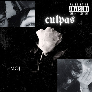 MOJ - Culpas