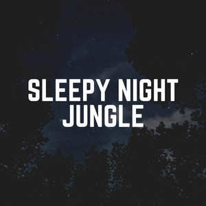 Sleepy Night Jungle album