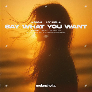 say what you want by Meldom, Levis Della