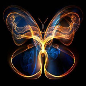 Roccboy P French - Butterfly Effect