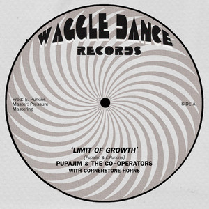 Reverse This Dub by Pupajim, The Co-Operators, Cornerstone Horns