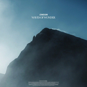 Cohesion by Waves Of Wonder