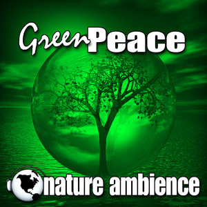Evening Rhythmic Cricket Calls Background