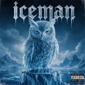 A Drake by Ice Man