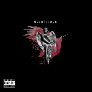 Portada de Nightbirds