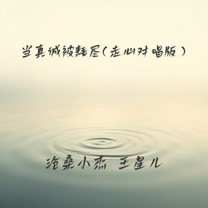 当真诚被耗尽 - 走心对唱版 by 王星儿, 沧桑小杰