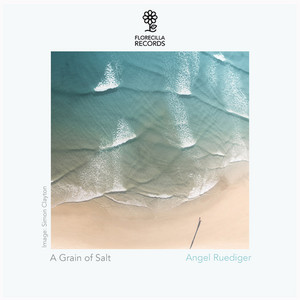 A Grain of Salt by Angel Ruediger