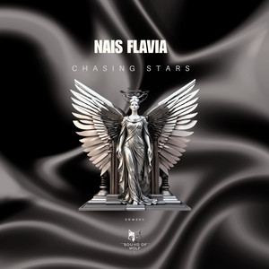 Chasing Stars by Nais Flavia