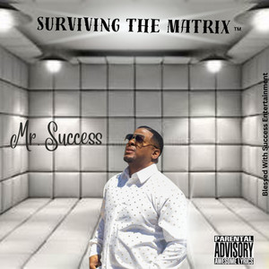 Survive The Matrix by Mr.Success