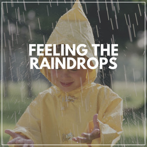Feeling the Raindrops album