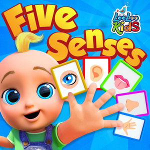 LooLoo Kids - Five Senses