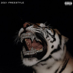 2021 Freestyle