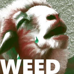 Weed Cowboy - You Are Not Immune To Ashwagandha