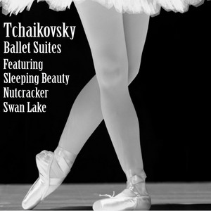 Europa Philharmonic Orchestra & Marcel Friedman - Swan Lake Lac Des Cygnes Op 20: Lake In the Moonlight
