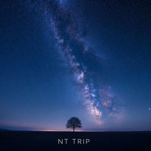 FALSO DOLOR by NT TRIP