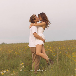 melotreebox - Blossom Day