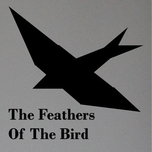 The Feathers Of The Bird