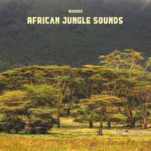 African Jungle Sounds by Naoxos