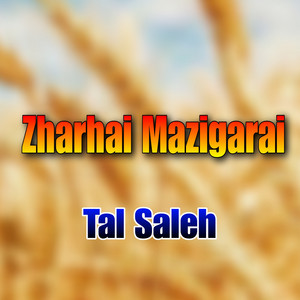 Tal Saleh - Zharhai Mazigarai