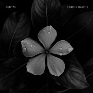 Finding Clarity by Orbitae