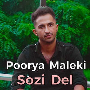 Sozi Del