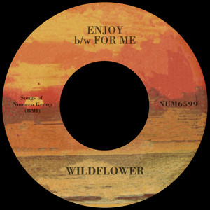 Wildflower — Enjoy b/w For Me (2026)
