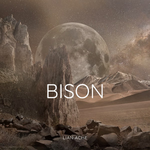 Bison