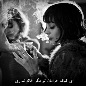 ای کبک خرامان تو مگر خانه نداری by Dambora