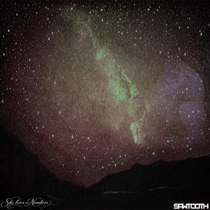She Lives In Numbers by Sawtooth