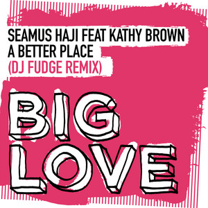 A Better Place - DJ Fudge Remix by Seamus Haji, Kathy Brown, DJ Fudge