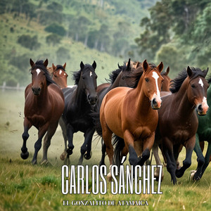 Carlos Sanchez El Gonzalito de Atamaica - Así Se Mata un Despecho