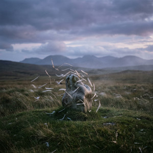 Embrace the Wind by Mogensen