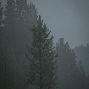 Hillside by Forest Slater
