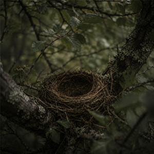 Nest by Quiet Vale