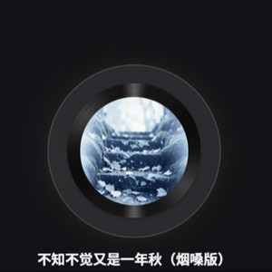 哭着笑着都是一辈子 (酸甜苦辣都要坚持) by 沧桑大叔.