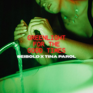Green Light For the Good Times by Seibold, Tina Parol