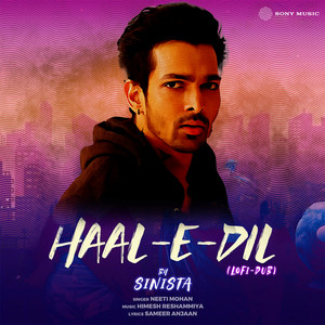 Haal-E-Dil - Lofi - Dub - song and lyrics by Neeti Mohan, Himesh ...