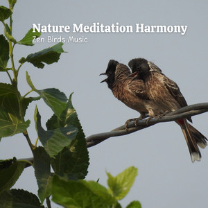 Nature Meditation Harmony: Zen Birds Music album