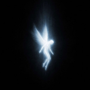 Fallen by HAIX