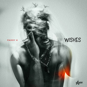 Wishes by Paddy k