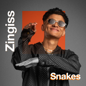 Zingiss - Snakes - Orange Music Talents