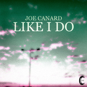 Like I Do